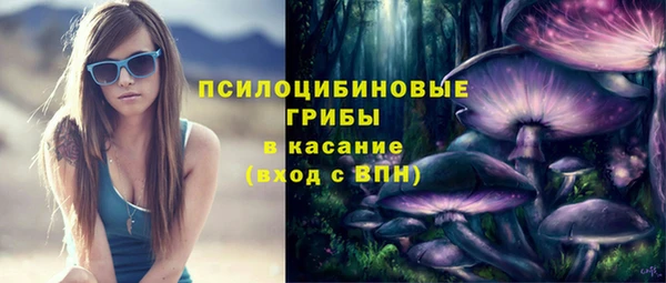 сатива Болхов