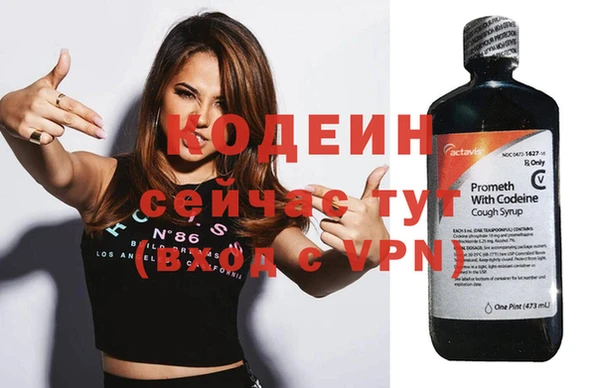 спиды Болотное