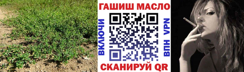 купить наркоту  Бирюсинск  MEGA как зайти  ТГК вейп 
