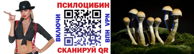 Псилоцибиновые грибы Psilocybine cubensis  Бирюсинск 