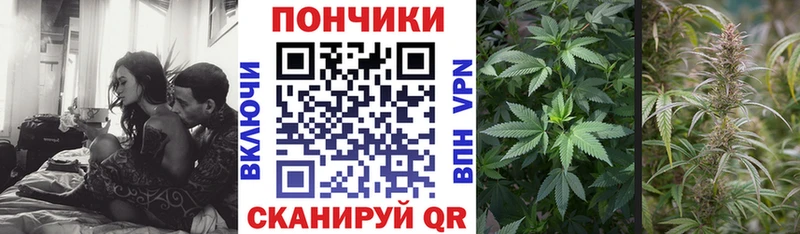 даркнет сайт  Бирюсинск  МЕГА вход  Канабис ГИДРОПОН 
